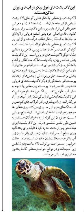 این لاکپشتهای غولپیکر در آبهای ایران ساکن هستند