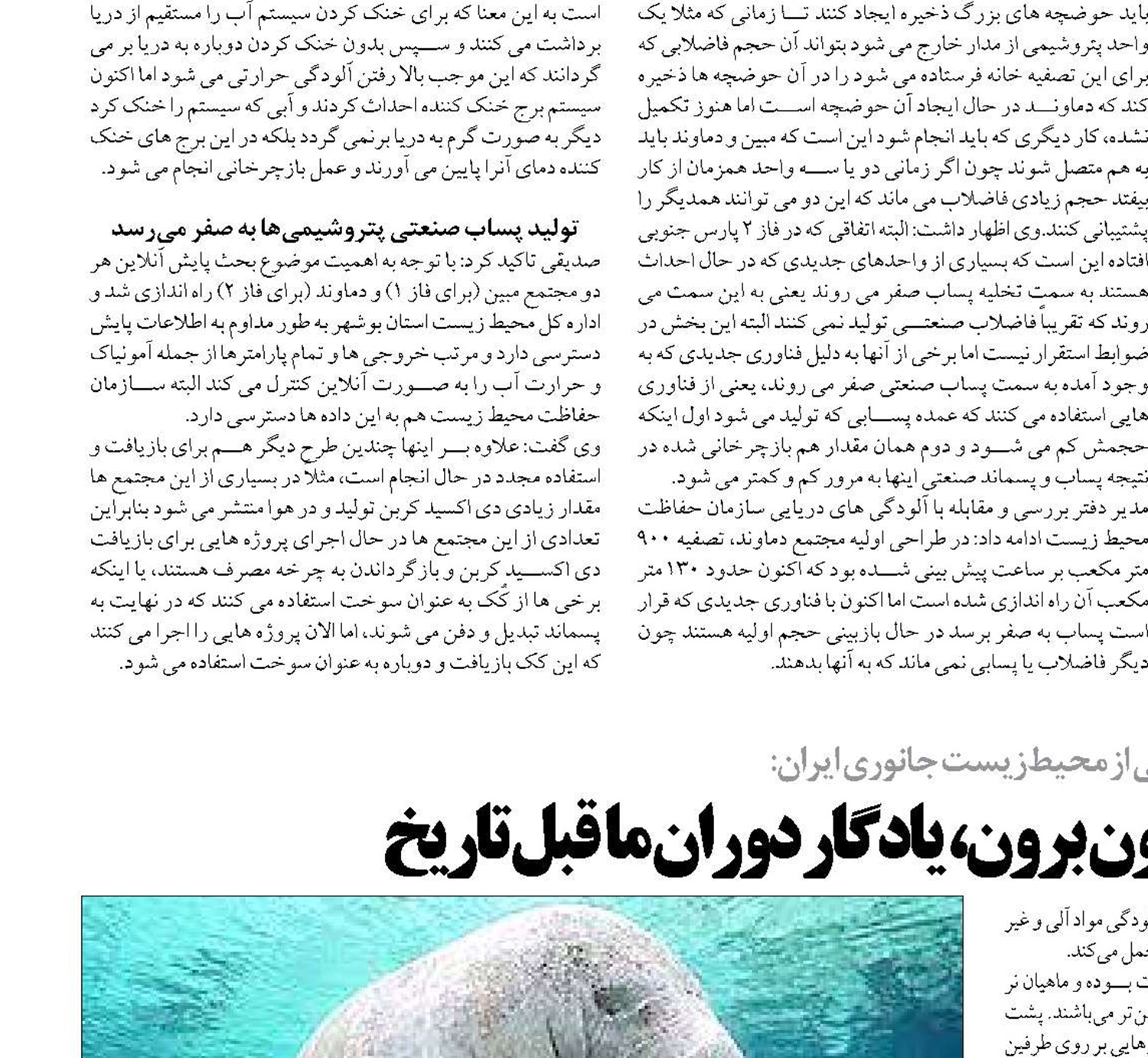 ماهی گورخری و ازون ‌برون، یادگار دوران ما قبل تاریخ