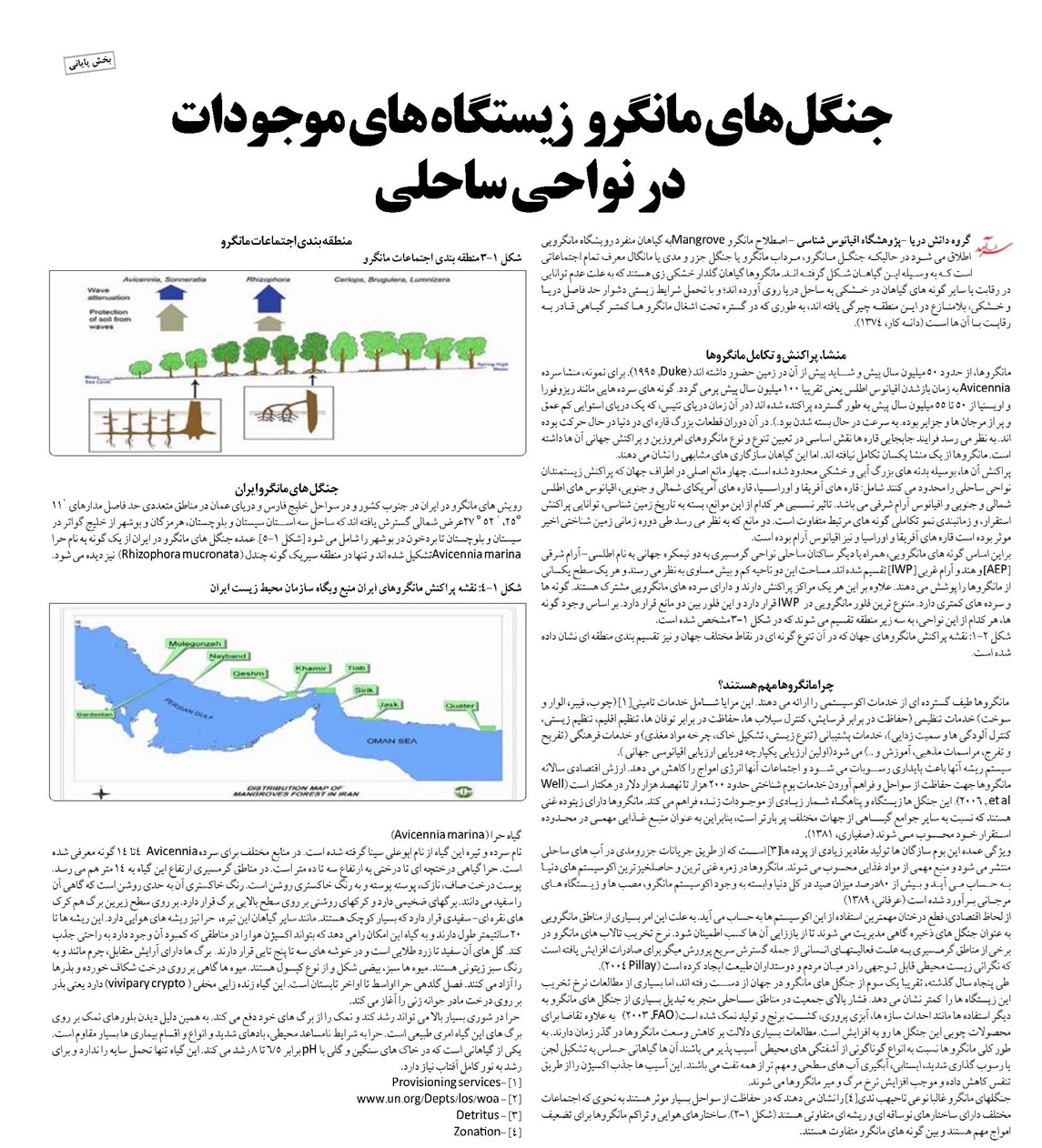جنگل های مانگرو زیستگاه های موجودات در نواحی ساحلی