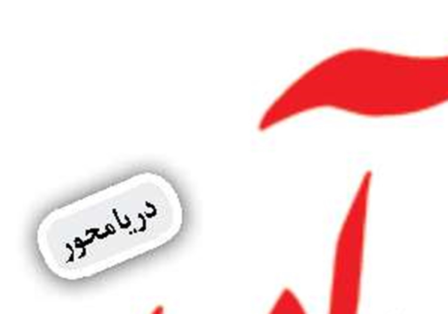 سازمان بنادر و دريانوردي نمی تواند سیاست های کلان اقتصاددریاپایه را تدوین کند
