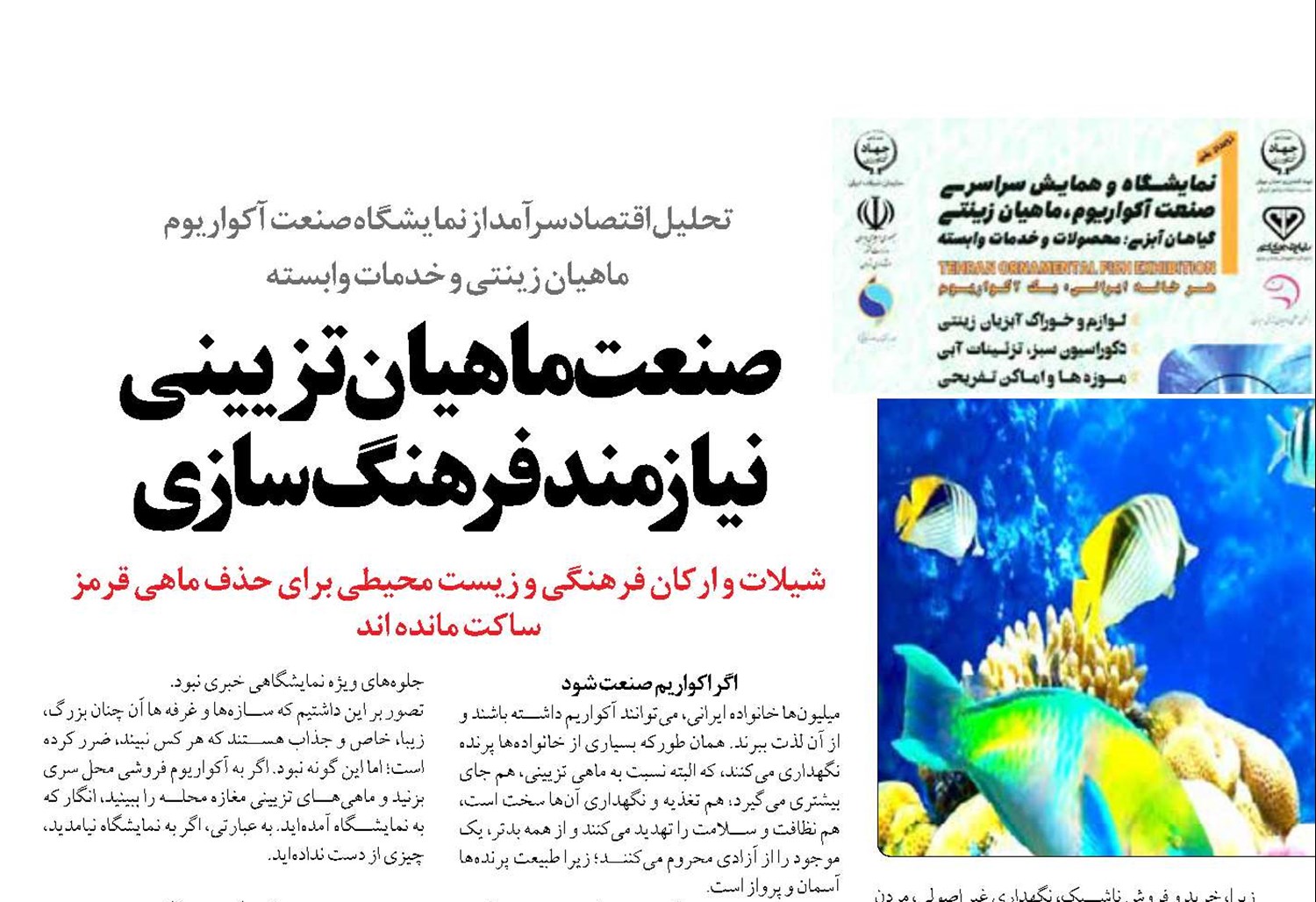 صنعت ماهيان تزييني نیازمند فرهنگ سازی 