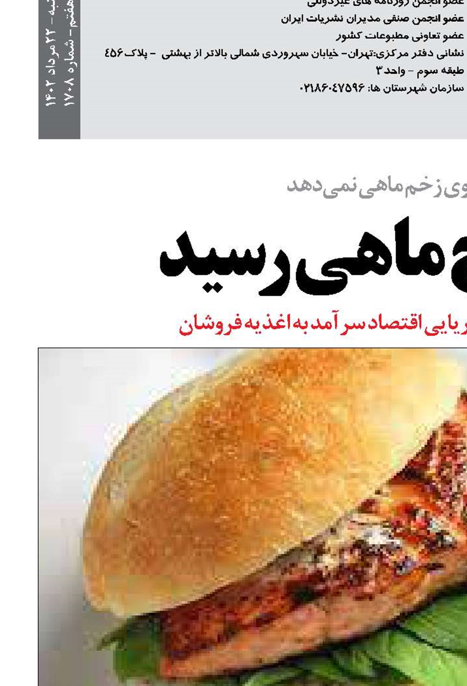  ساندويچ ماهي رسيد