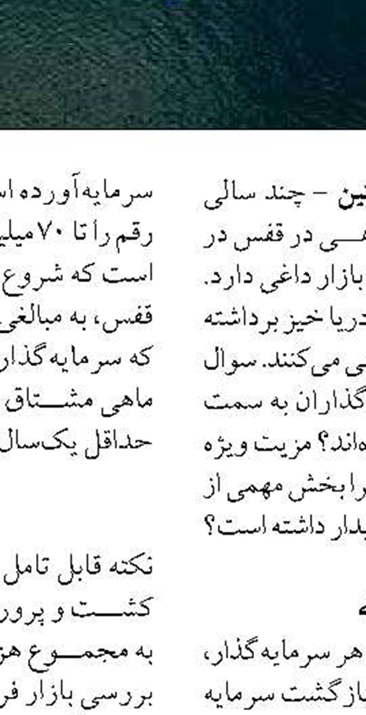 احداث زیستگاه مصنوعی آبزیان در بوشهر