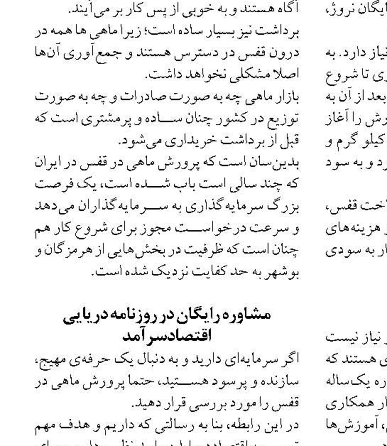 آغاز بازسازی طبیعی مرجان‌های سفید شده خلیج فارس