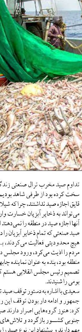 رسانه‌هاي دريايي در يك نگاه