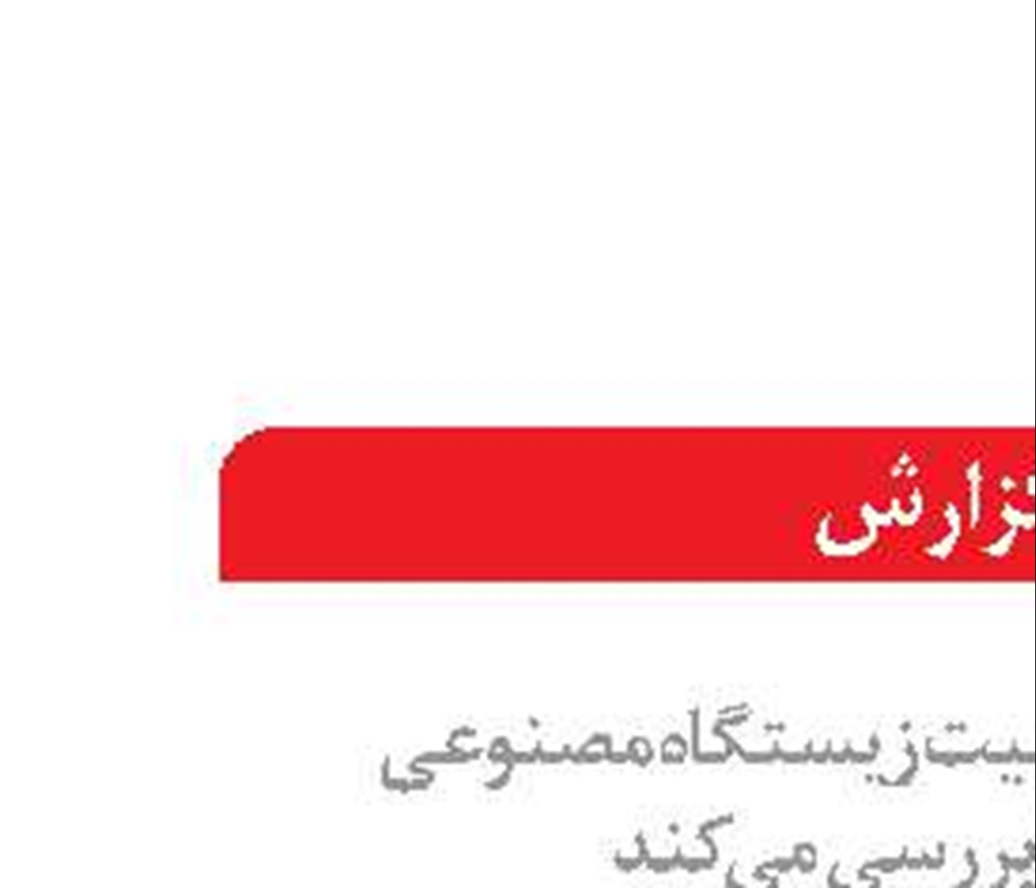  ضرب آهنگ توسعه اقتصاد دریاپایه در بخش شیلات