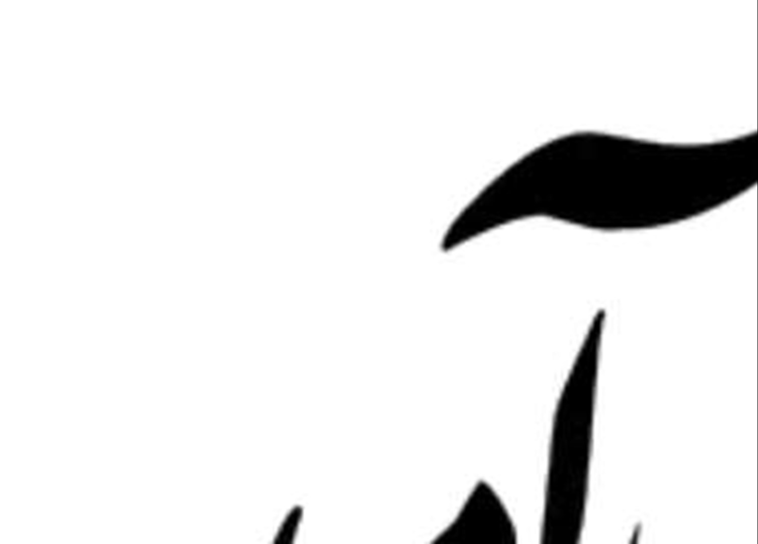  صيد ترال  كاملا ممنوع است