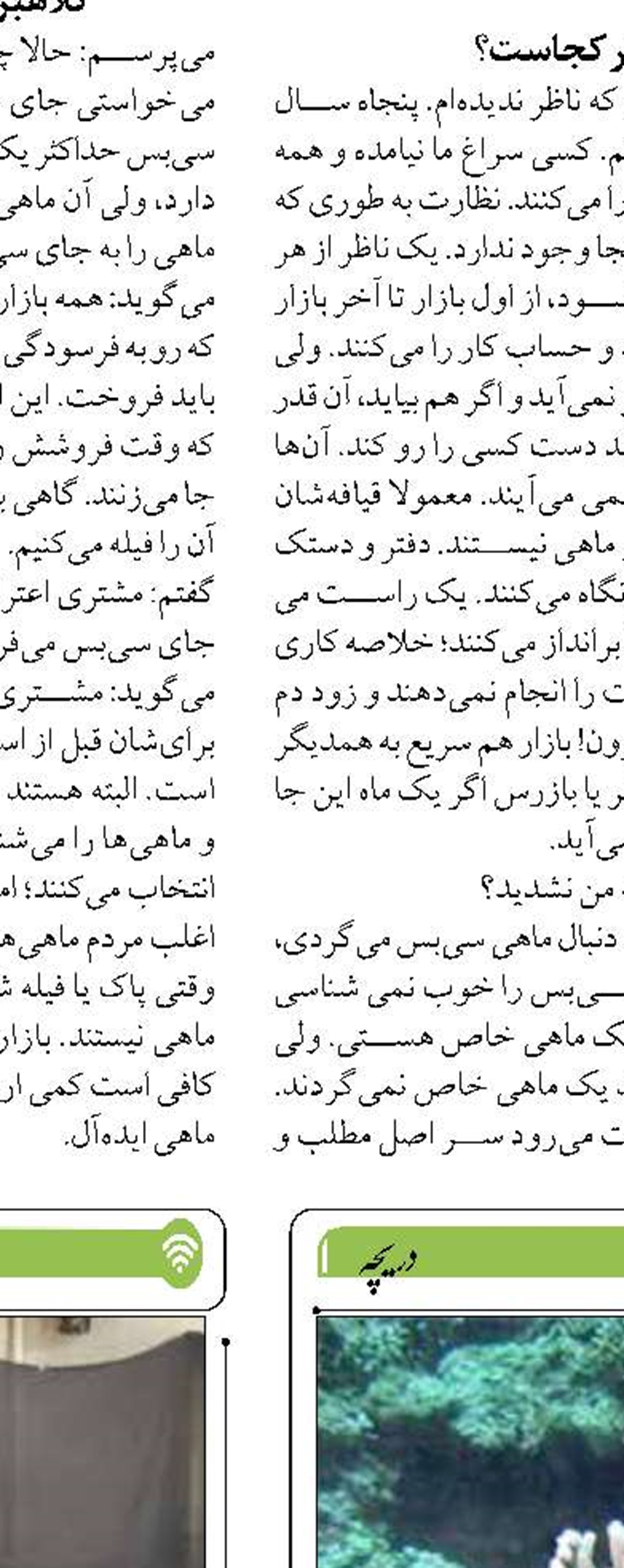 ایجاد ۶۰ کمیپنگ ساحلی در گیلان با اعتبار ۳۰ میلیارد تومان