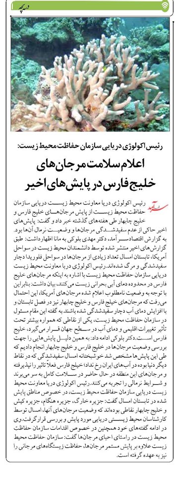 اعلام سلامت مرجانهای خلیج فارس در پایشهای اخیر