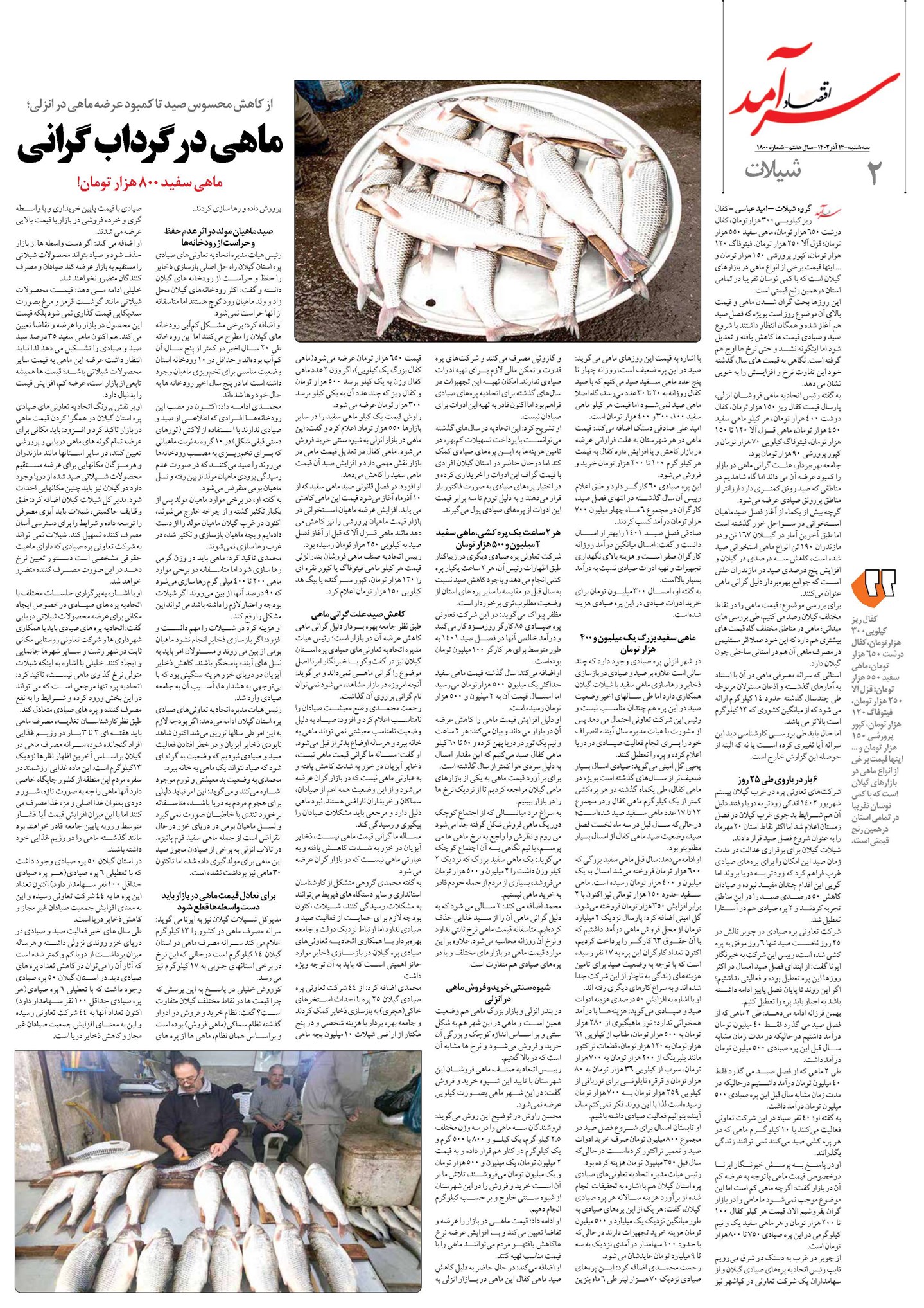 ماهی در گرداب گرانی