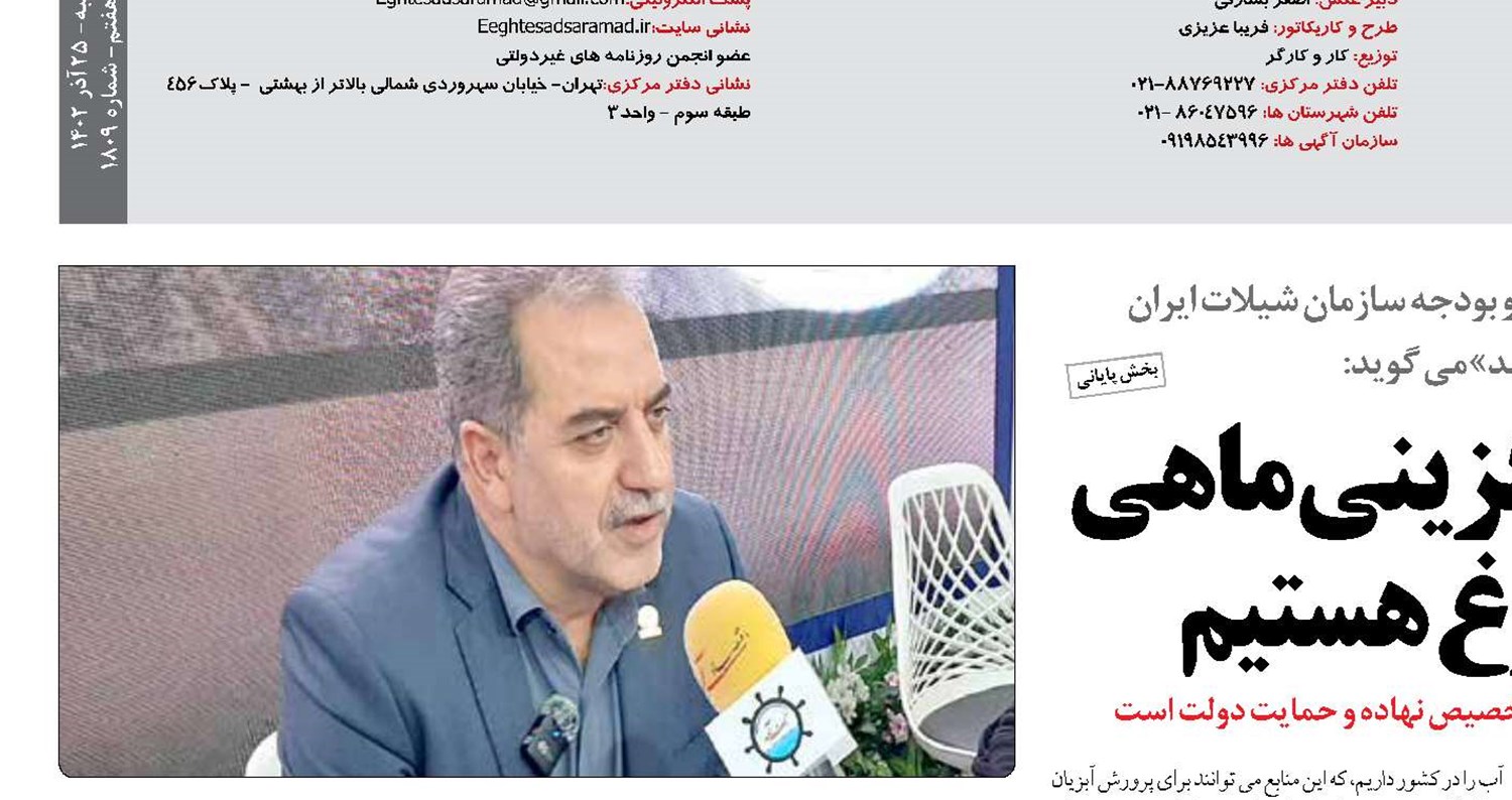 به دنبال جایگزینی ماهی به جای مرغ هستیم