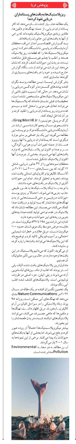 ریزپلاستیکها به بافتهای پستانداران دریایی نفوذ کردند!