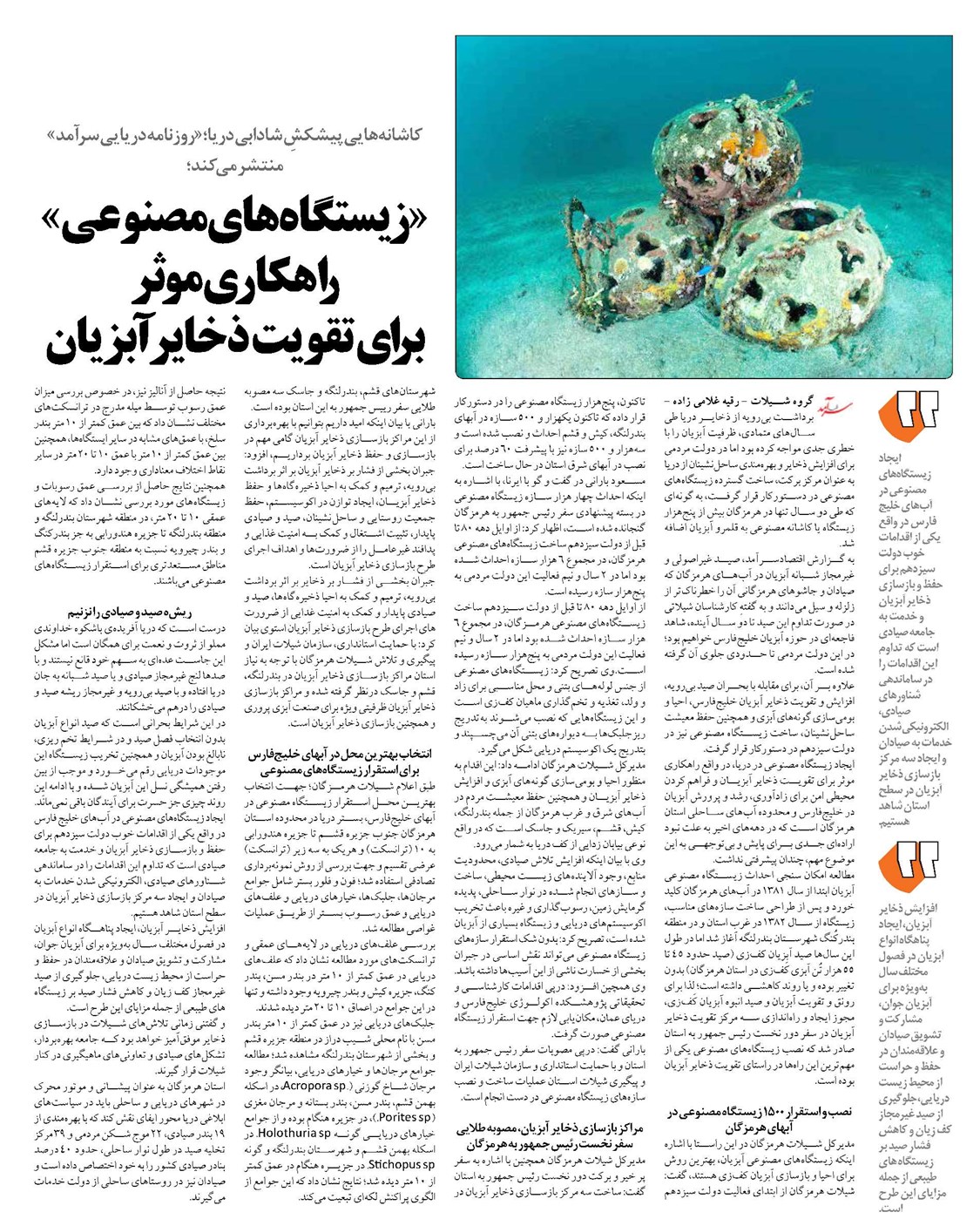 «زیستگاه های مصنوعی» راهکاری موثر برای تقویت ذخایر آبزیان