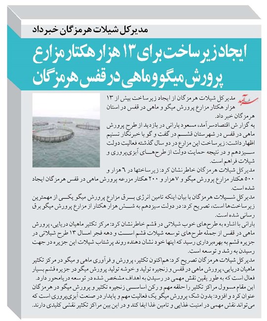 ایجاد زیرساخت برای ۱۳ هزار هکتار مزارع پرورش میگو و ماهی در قفس هرمزگان