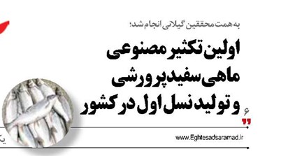 اولین تکثیر مصنوعی ماهی سفید پرورشی و تولید نسل اول در کشور