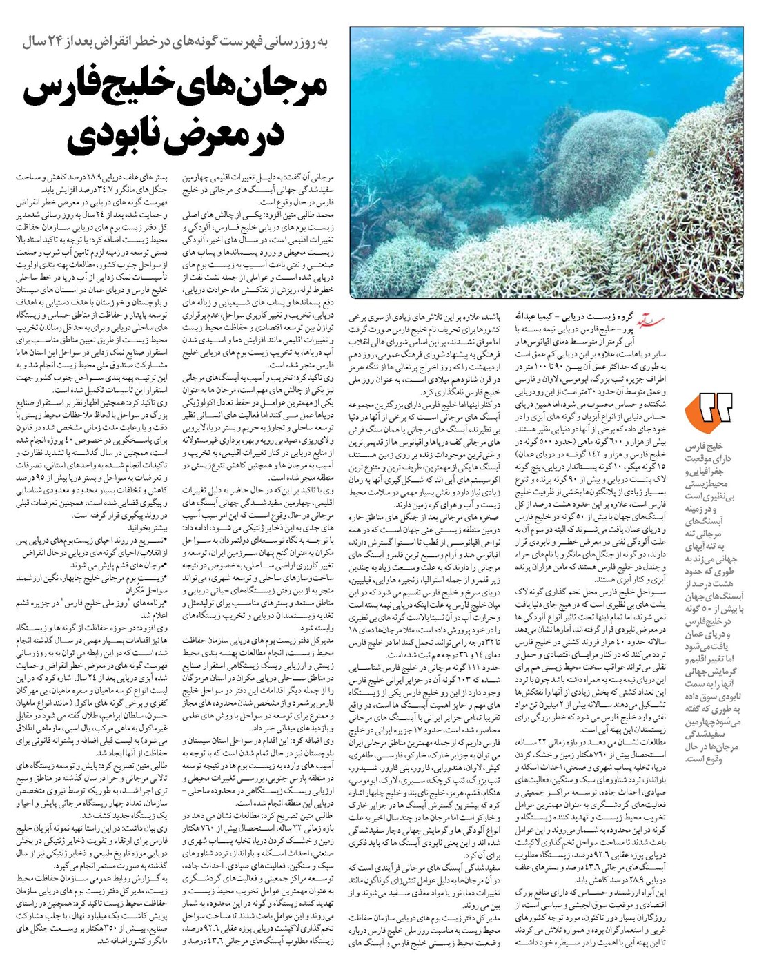 مرجانهای خلیجفارس در معرض نابودی