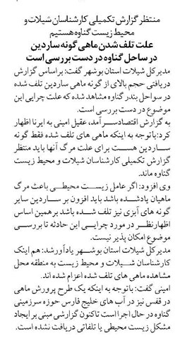 منتظر گزارش تکمیلی کارشناسان شیلات و محیط زیست گناوه هستیم