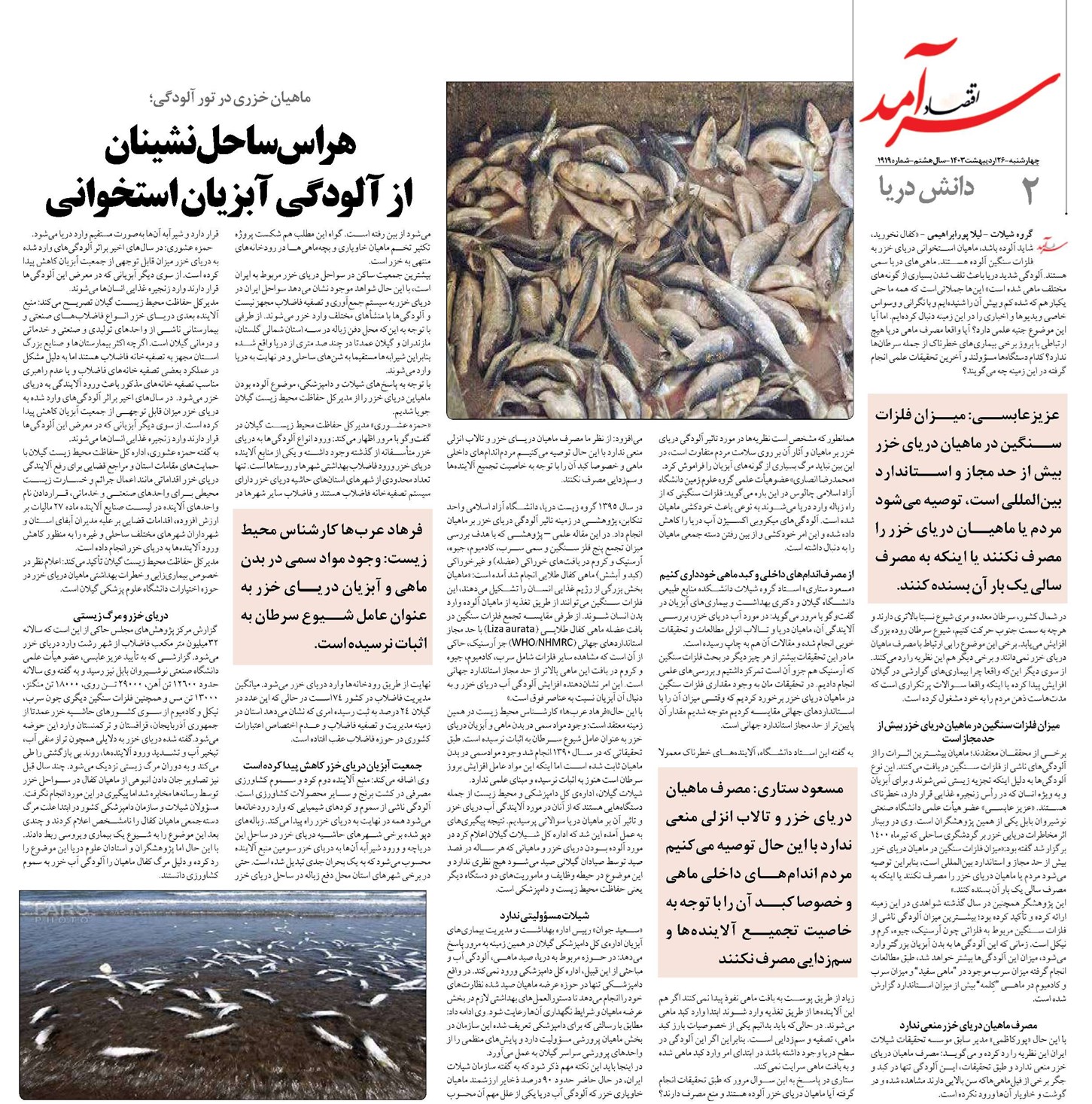 هراس ساحلنشینان از آلودگی آبزیان استخوانی