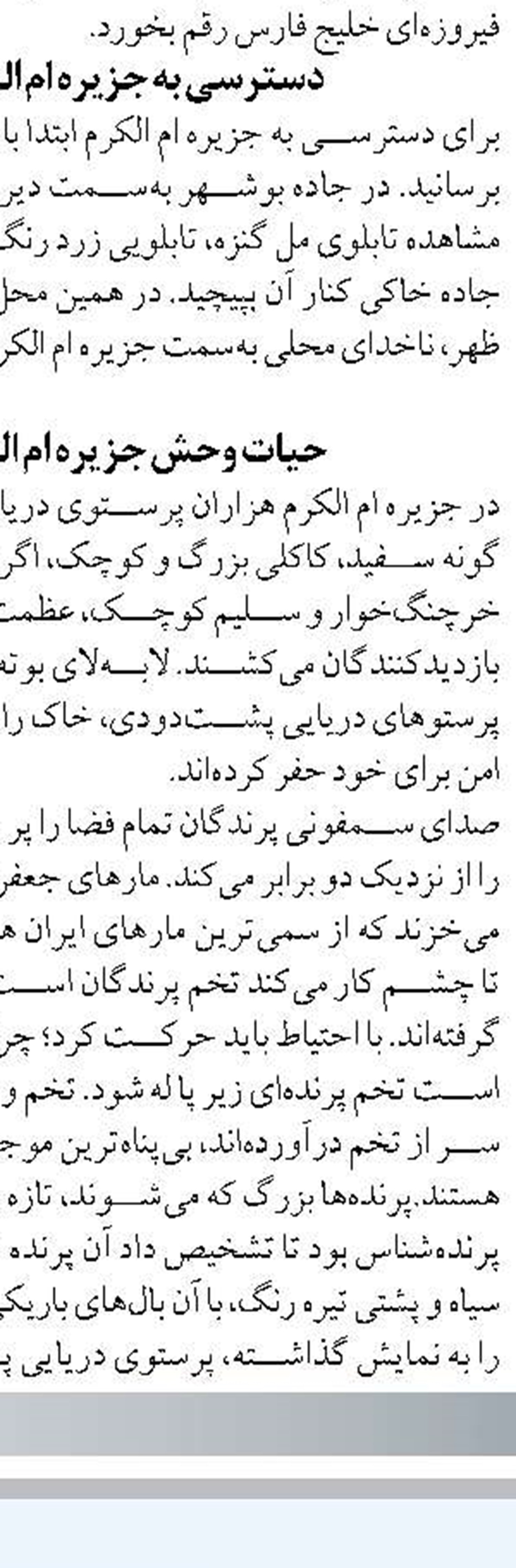 بیش از ۷۷۰ نمونه‌ جانوری در کلکسیون جانوران دریایی واحد علوم و تحقیقات وجود دارد