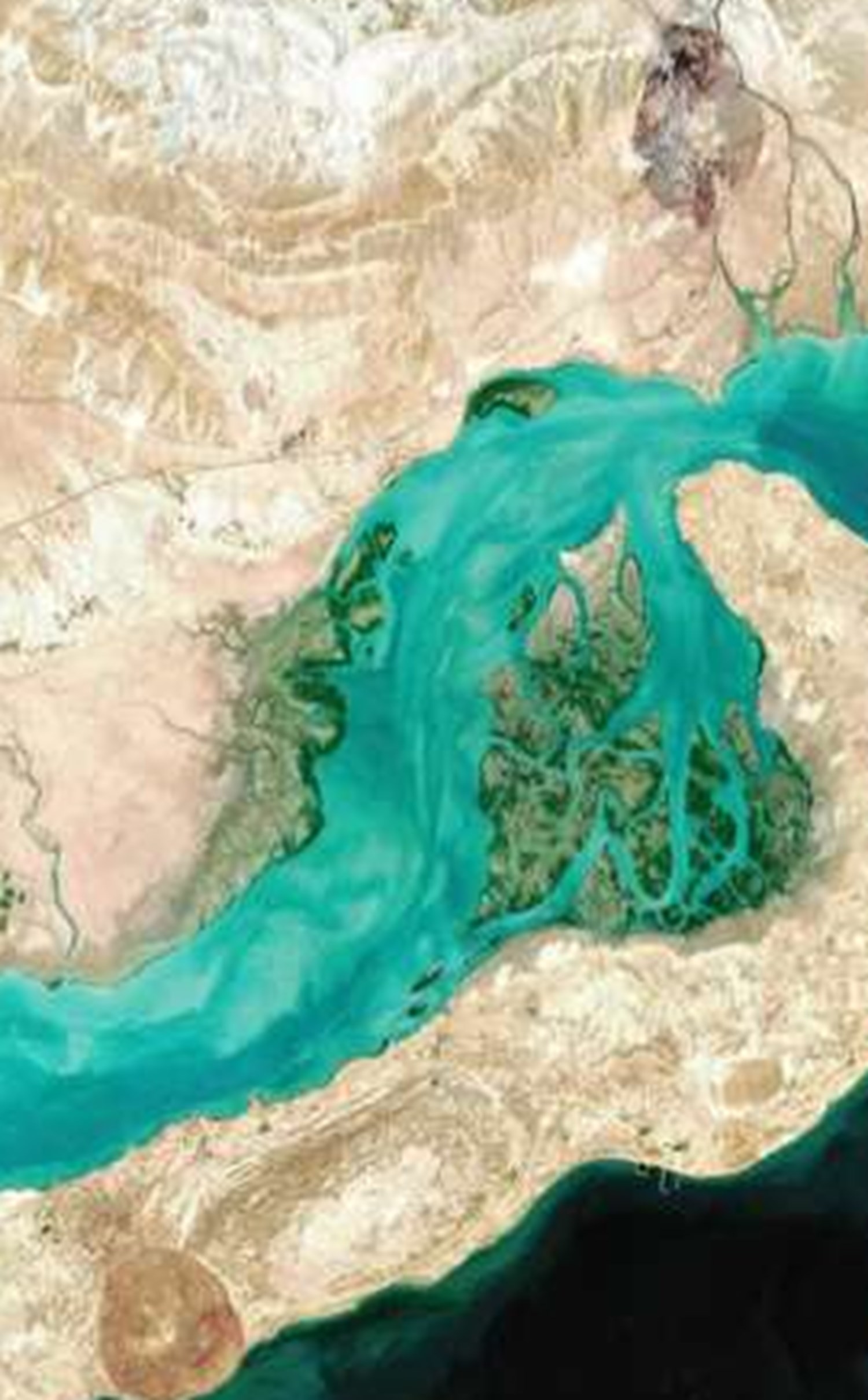 سرمایه‌گذاری ۲۰۰ میلیارد تومانی برای تبدیل شدن لرستان به قطب خاویار ایران
