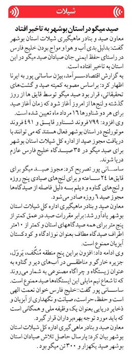 صید میگو در استان بوشهر به تاخیر افتاد