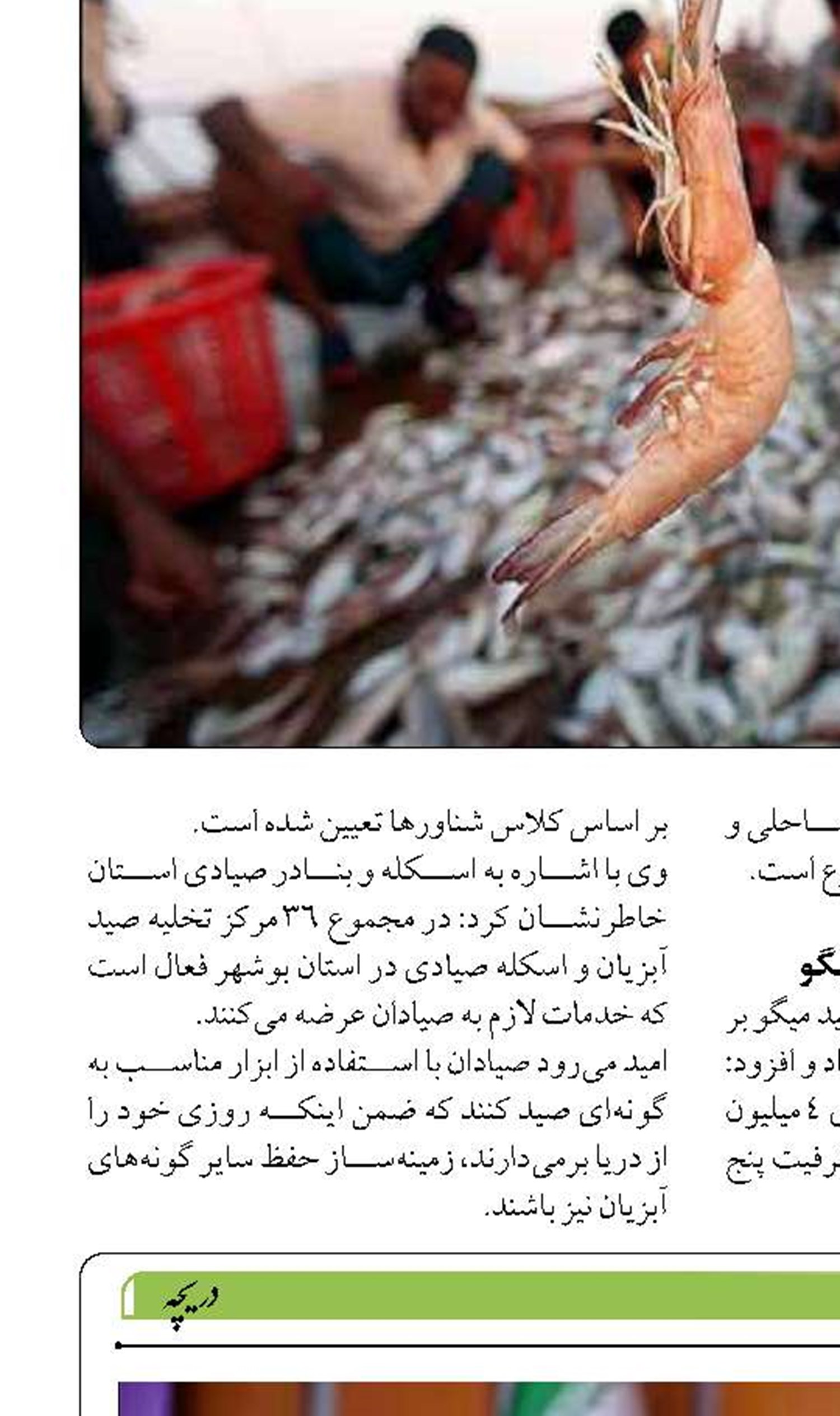 هدفگذاری تخلیه‌وبارگیری ۱۰۰ هزار TEU کانتینر  در بندر چابهار 