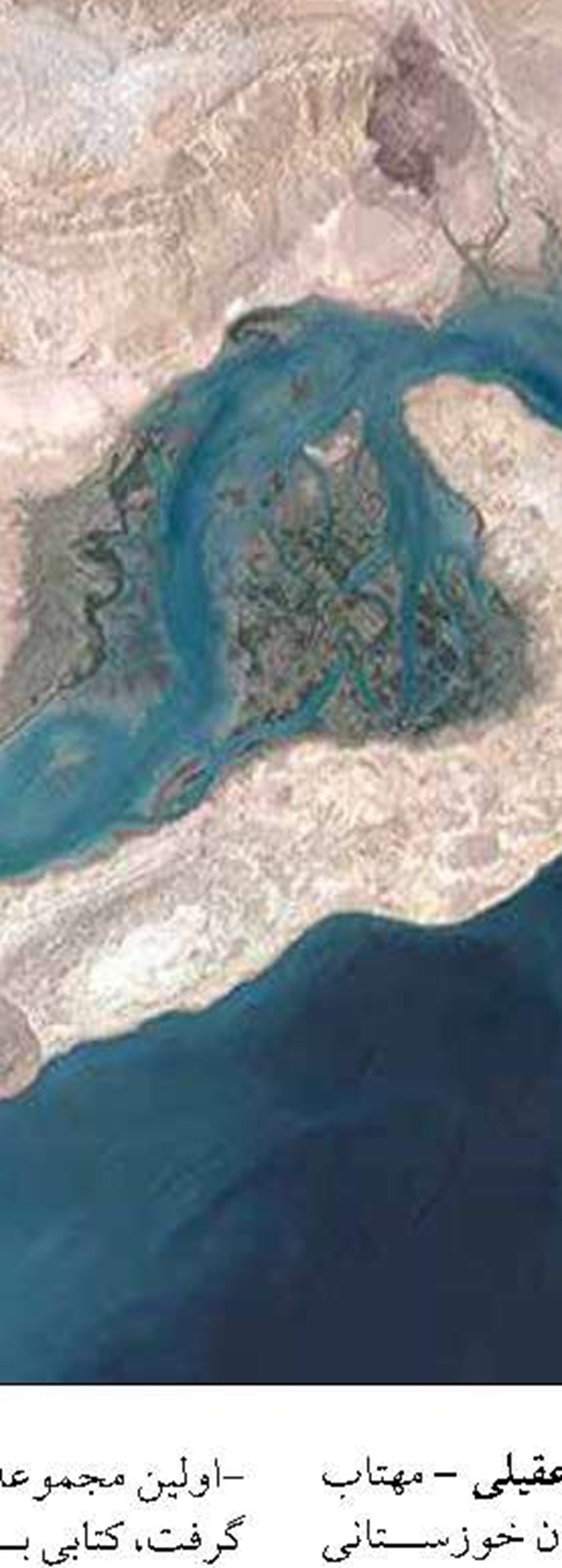 تاکید بر افزایش پرورش ماهی  در قفس های دریایی 