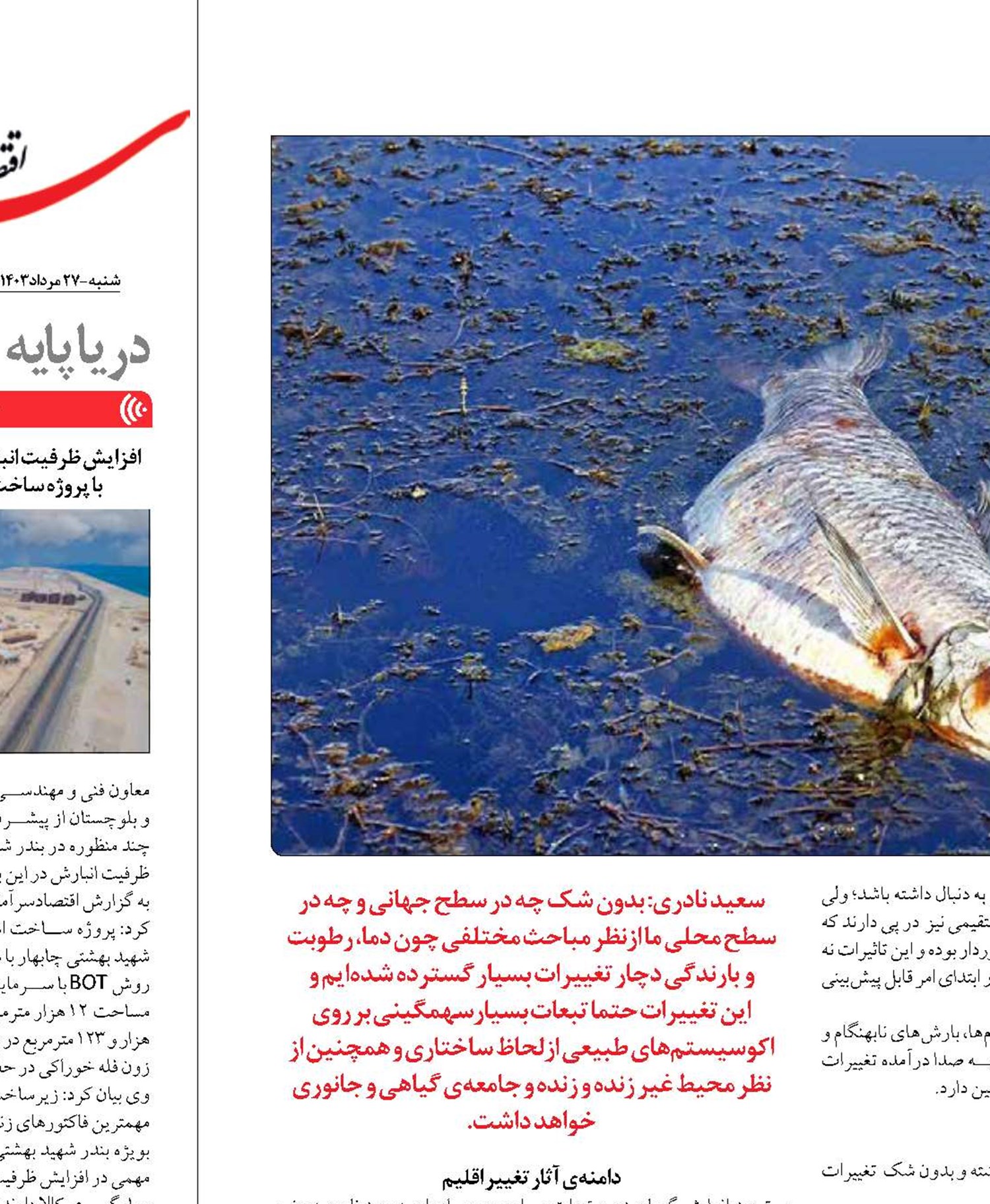 مرگ ماهیان  تالاب انزلی در تنگنای  تغییر اقلیم