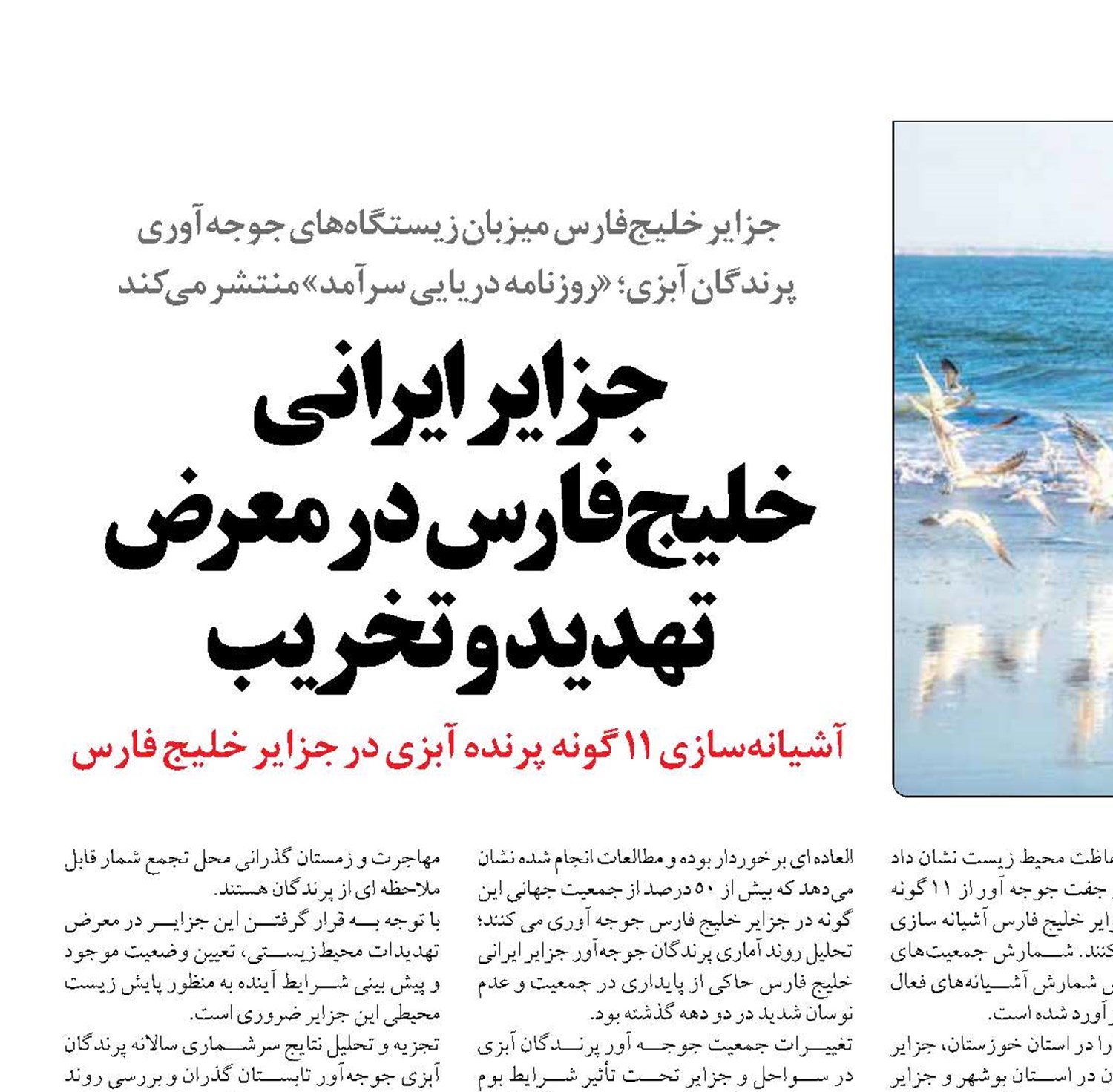 جزایر ایرانی خلیج‌فارس در معرض تهدید و تخریب 