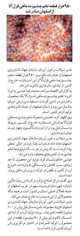 ۹۵۰ هزار قطعه تخم چشمزده ماهي قزلآلا از اصفهان صادر شد