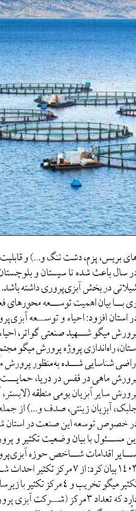 صید میگوی دریایی خلیج فارس  به ۵۷۱ تن رسید