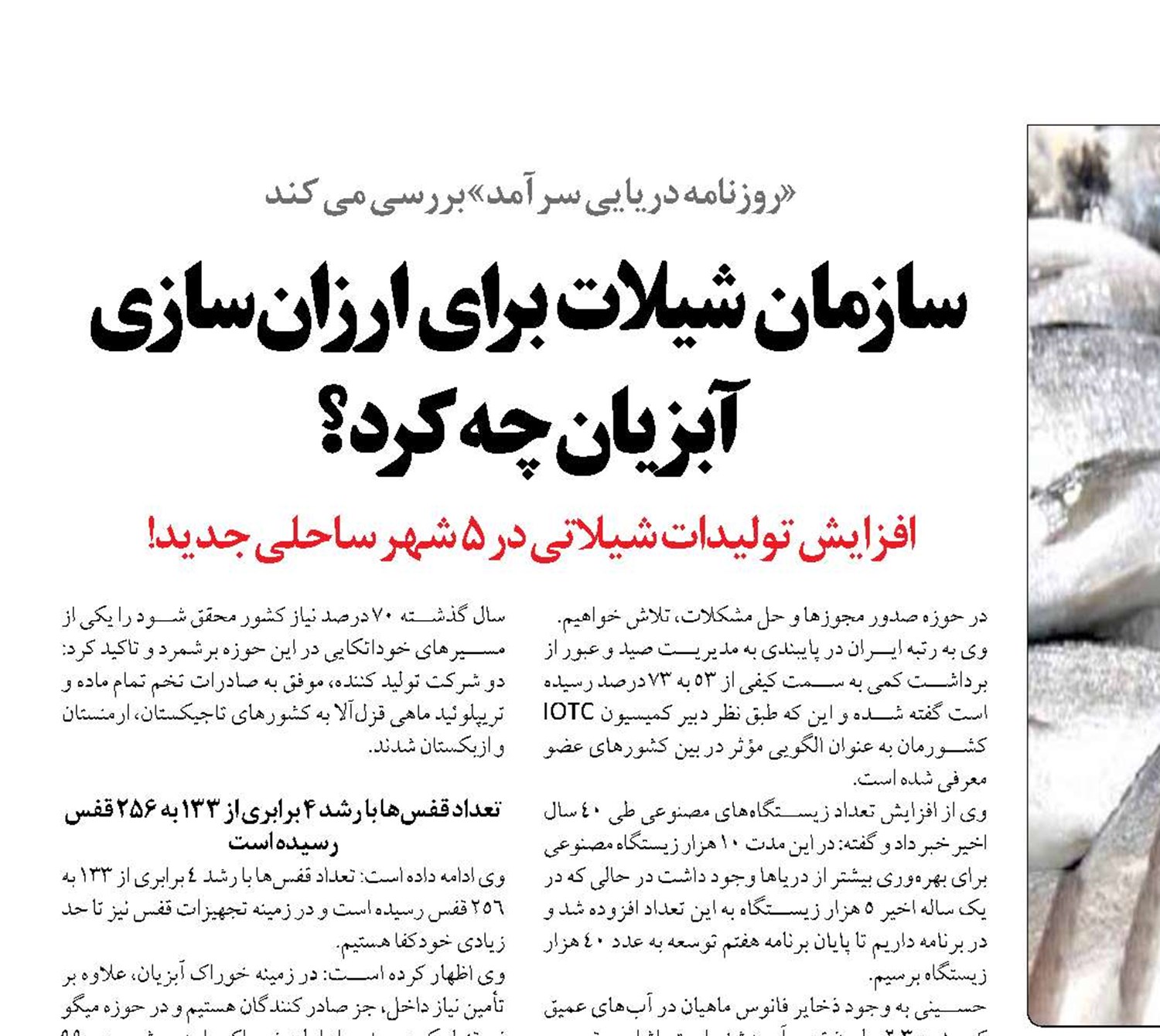  سازمان شیلات برای ارزان‌سازی آبزیان چه کرد؟