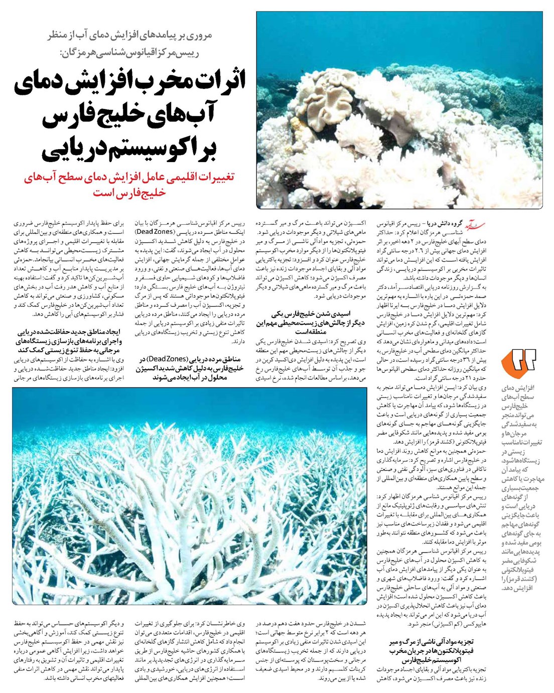 اثرات مخرب افزایش دمای آبهای خلیج فارس بر اکوسیستم دریایی