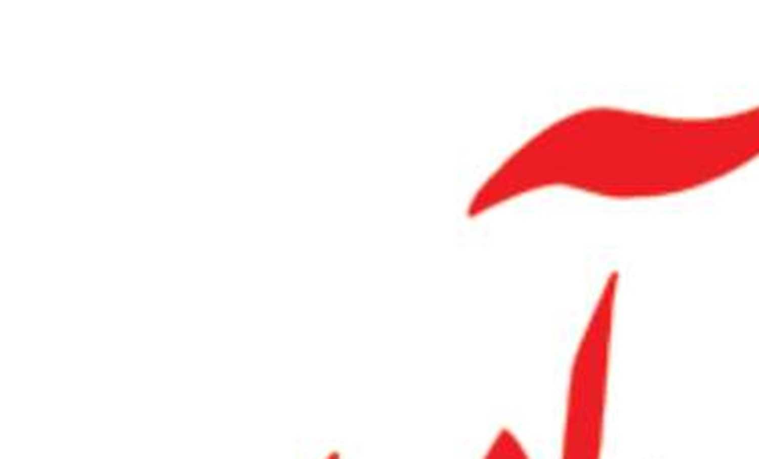 پرچم نفوذ فرهنگی  نباید در داخل کشور برافراشته شود