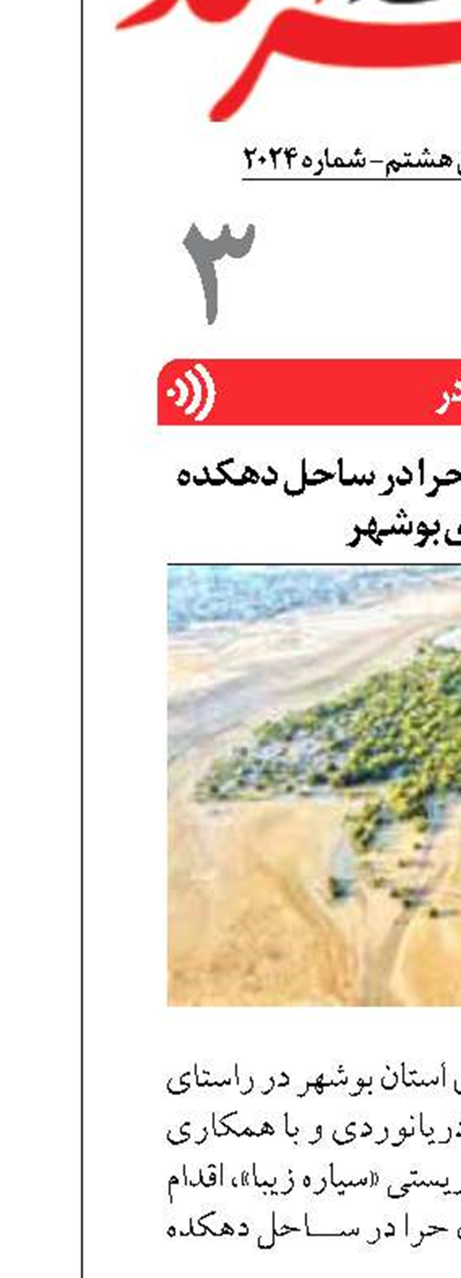 کاشت ۵۰۰ اصله نهال حرا در ساحل دهکده گردشگری بوشهر