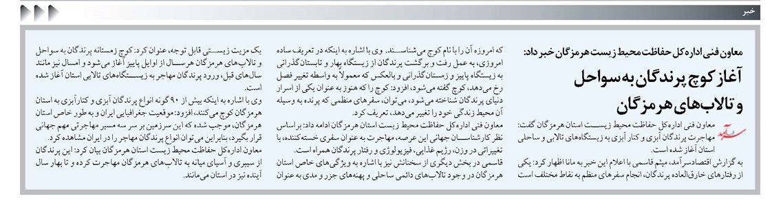 آغاز کوچ پرندگان به سواحل و تالابهای هرمزگان