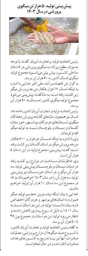 پیش بینی تولید ۵۰ هزار تن میگوی پرورشی در سال ۱۴۰۳