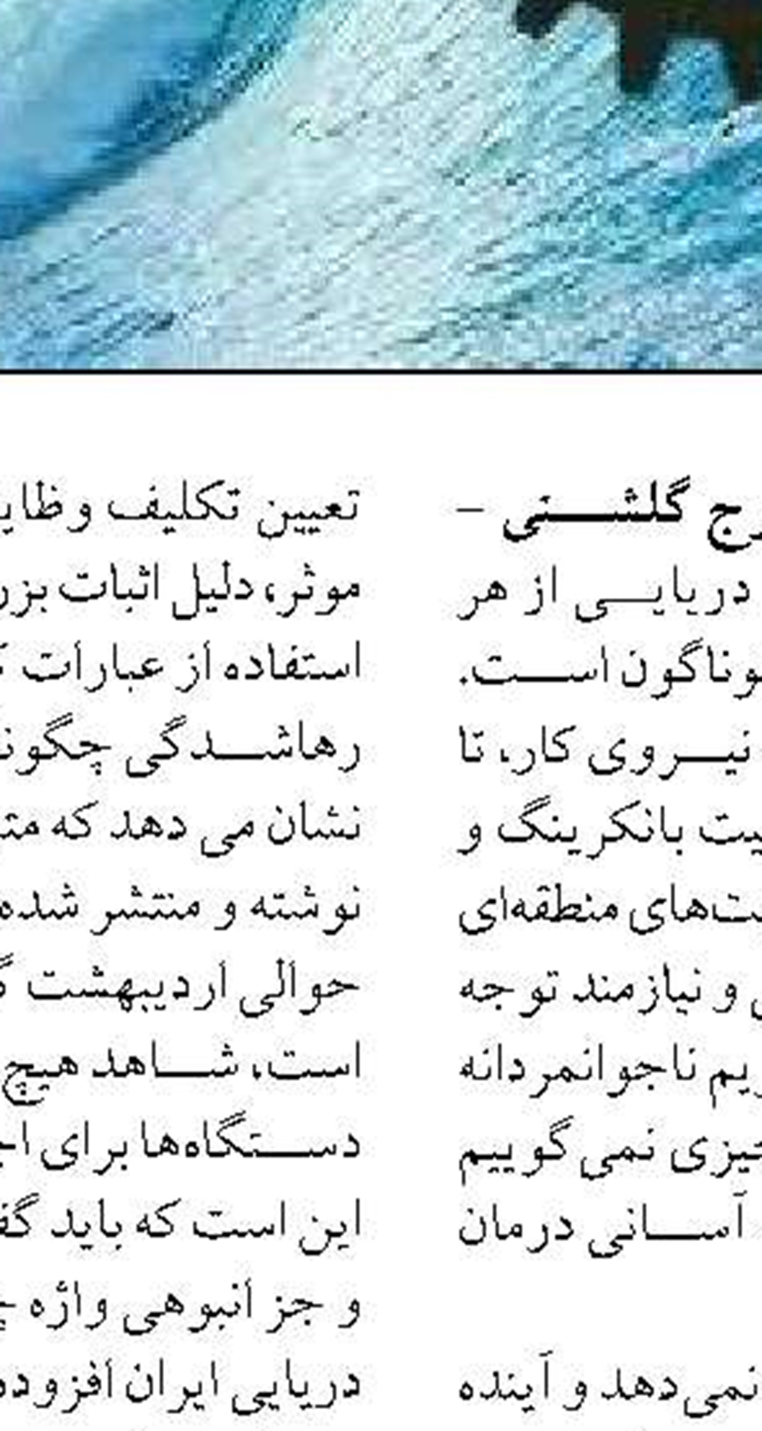  صیادان گلستانی فُک خزری گرفتار را   به زیستگاه طبیعی خود بازگرداندند