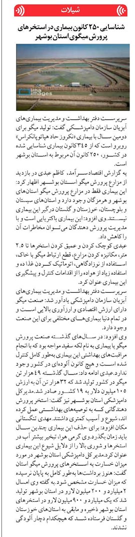 شناسایی ۲۵۰ کانون بیماری در استخرهای پرورش میگوی استان بوشهر