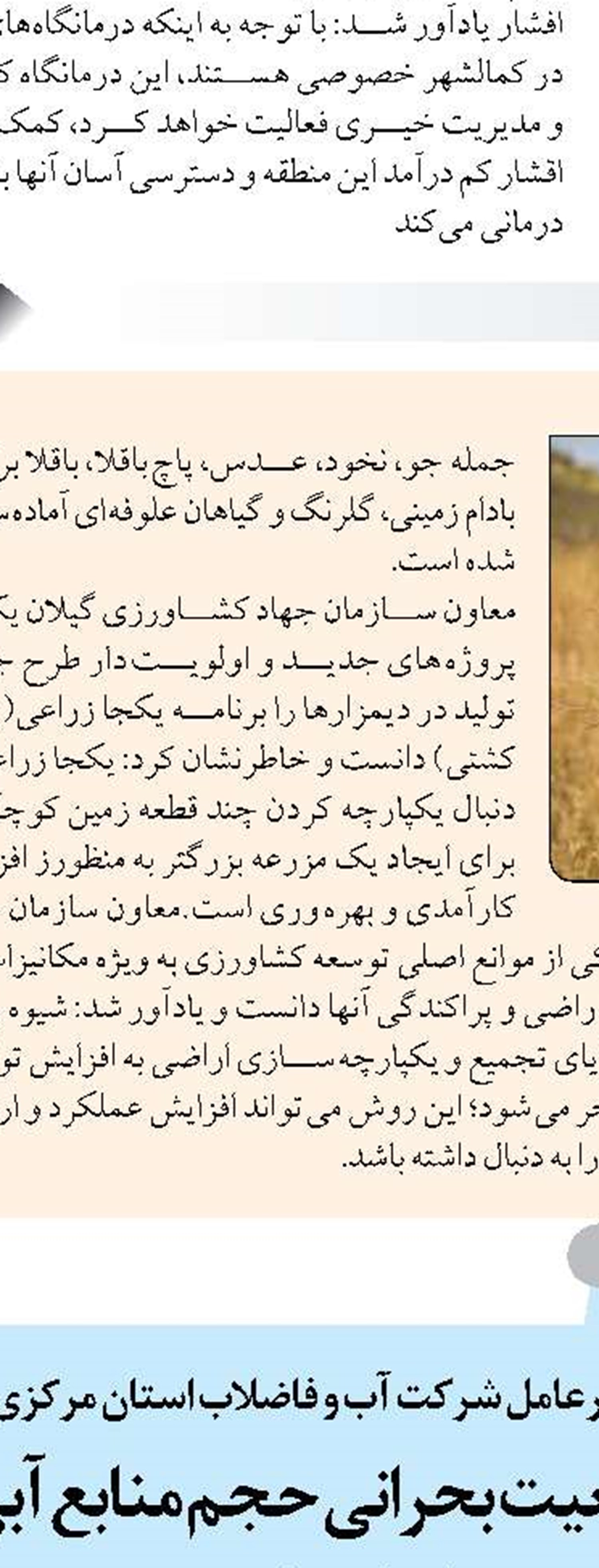 وجود بیش از ۵۵۰ هکتار موزستان در چابهار 