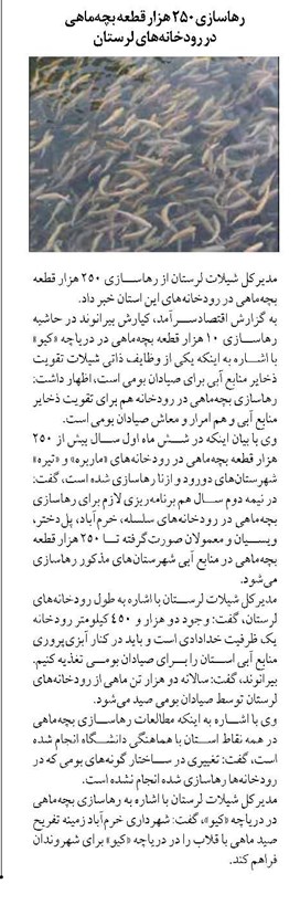 رهاسازی ۲۵۰ هزار قطعه بچهماهی در رودخانههای لرستان