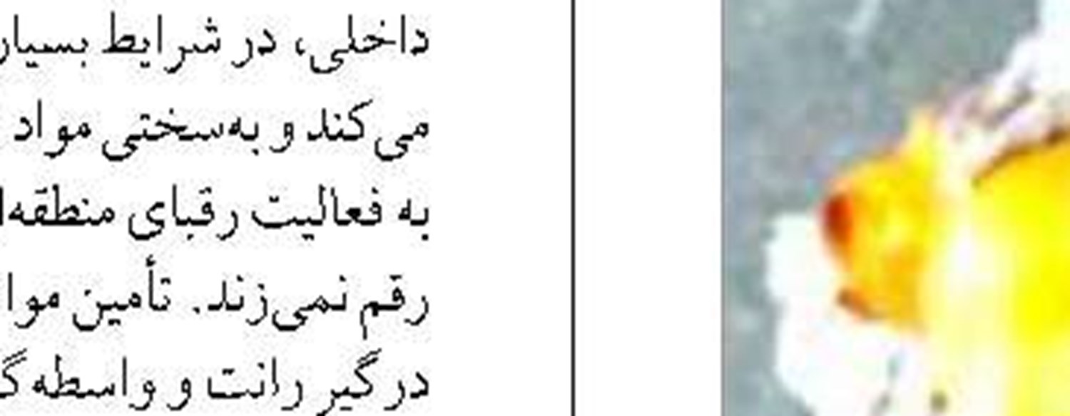 ایران و آسیای مرکزی  چگونه به ترانزیت ۱۶ میلیون تنی دست پیدا می‌کنند؟
