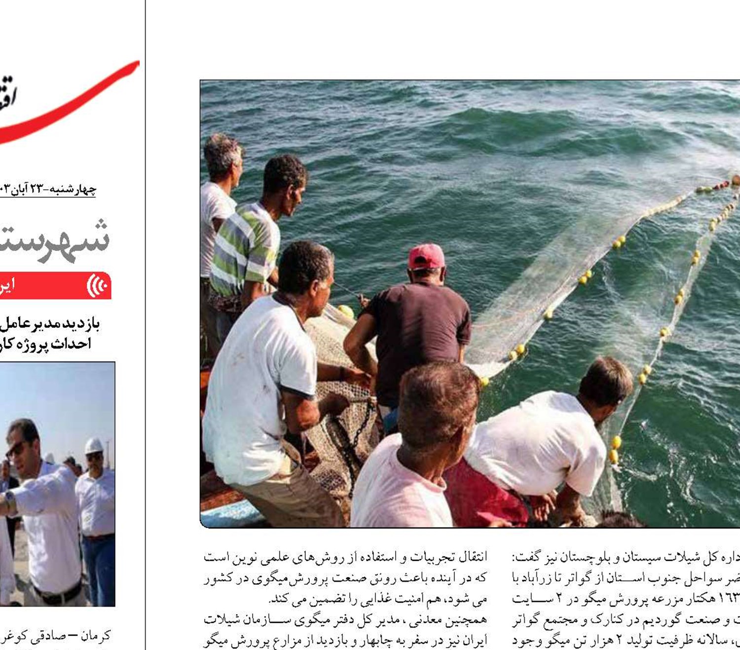  «صنعت پرورش میگو» اشتغال‌زا  و  اقتصادمحور