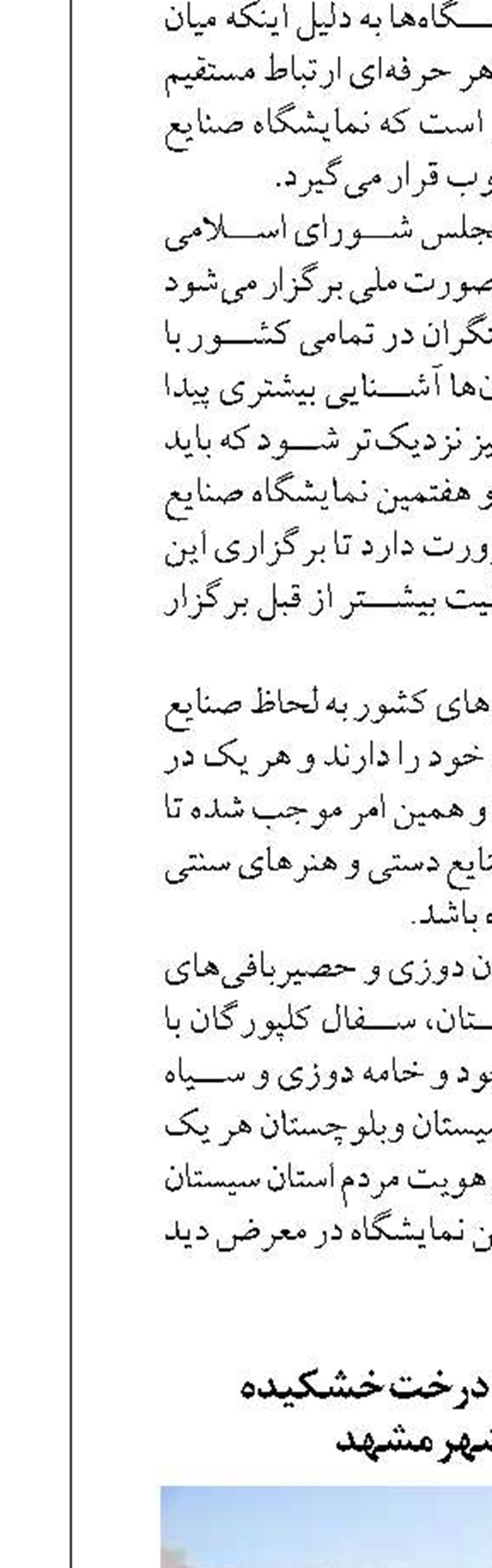 پیکره تراشی ۲۰ درخت خشکیده  در سطح شهر مشهد
