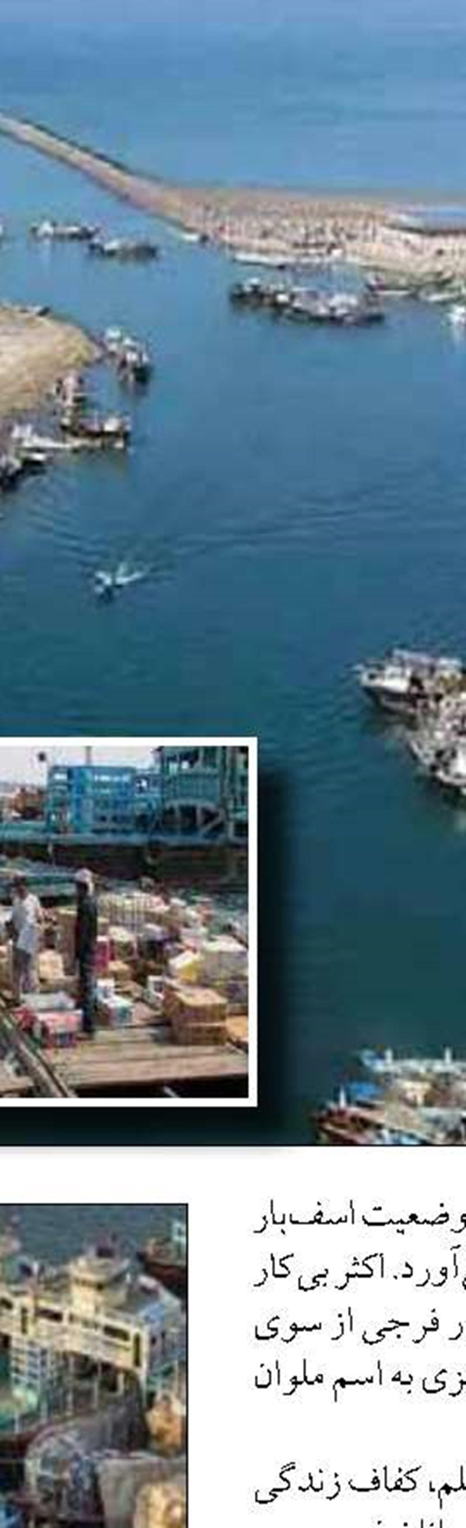 افزايش بيش از ۵۰ درصدي صادرات آبزيان در هفت ماهه ابتدايي سال جاري