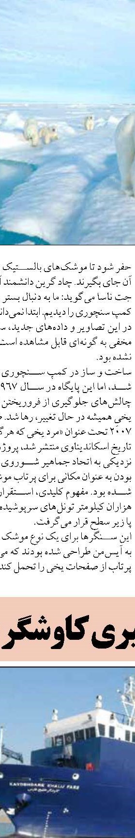 افزایش جمعیت لاک‌پشت‌های  دریایی ایران