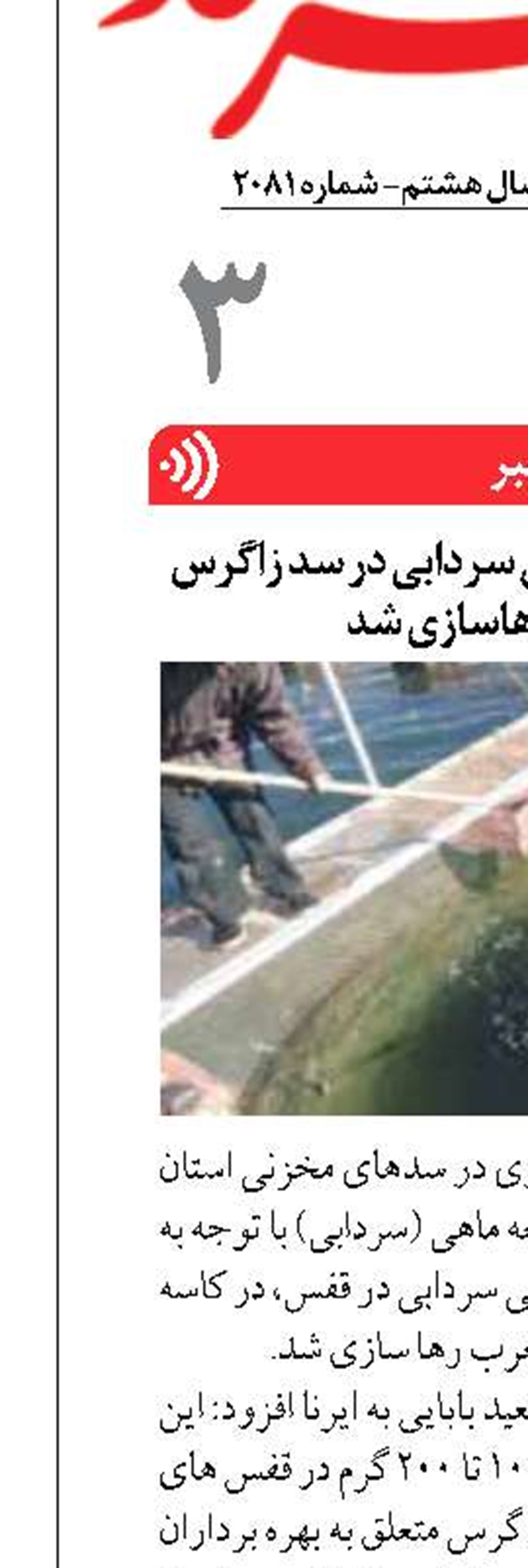 ۵۰ هزار قطعه بچه ماهی سردابی در سد زاگرس گیلانغرب رهاسازی شد