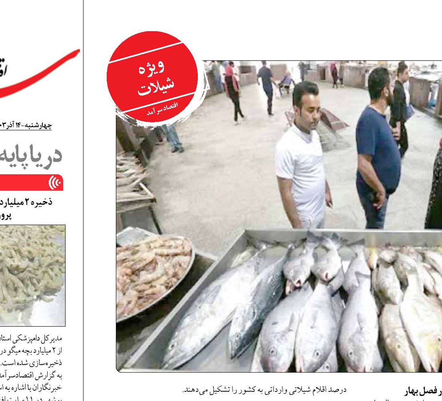 حذف «دلال‌ها»  شرط سودآوری شیلات
