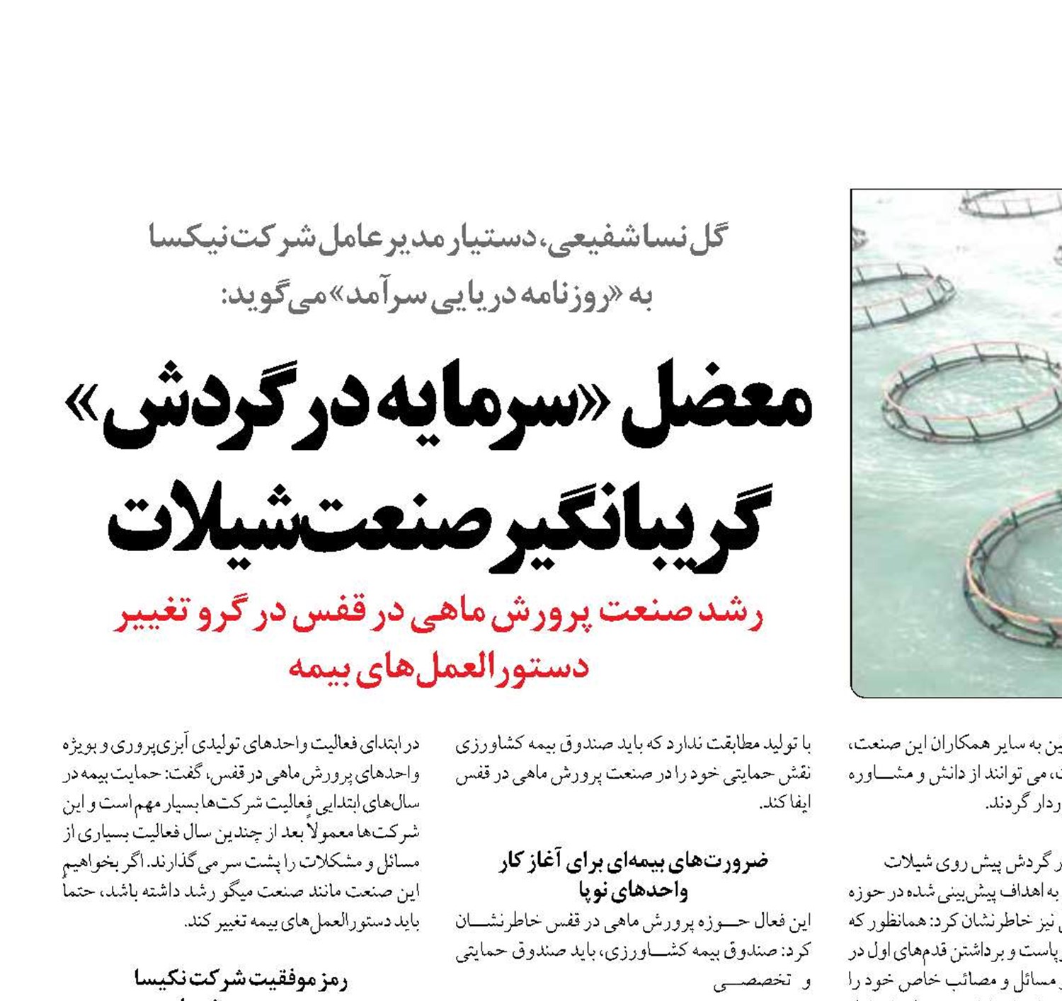 معضل «سرمایه در گردش» گریبانگیر صنعت شیلات