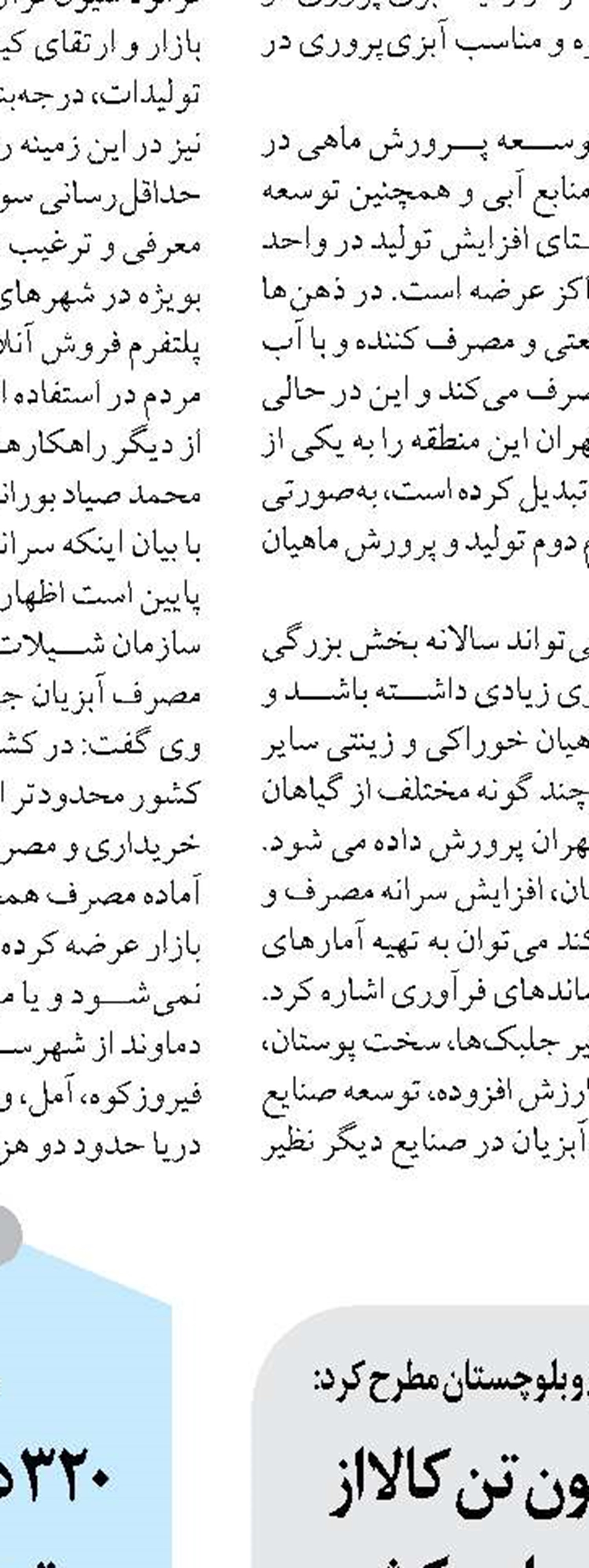 ضرورت توجه به ظرفیت بانوان  در مسئولیت‌های شهری شیراز
